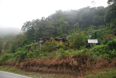 Národní park Kinabalu 