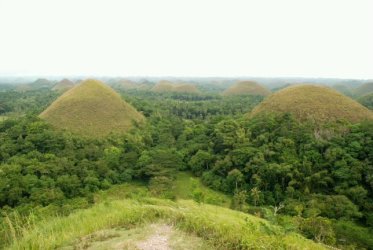 Chocolate hills